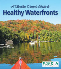 Shoreline_watershed_cover