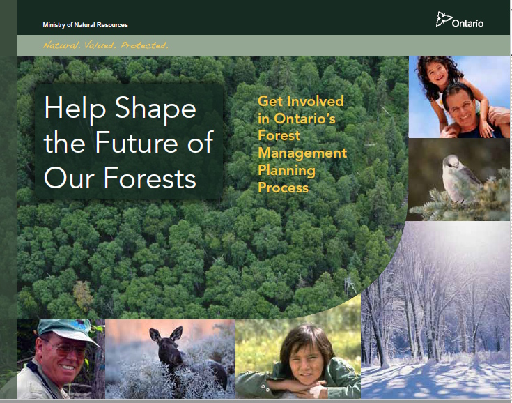 Using our forest resources sustainably – get involved!  FOCA