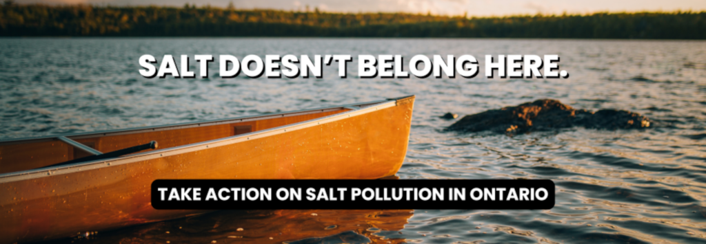 image: Salt Doesn't Below Here campaign image