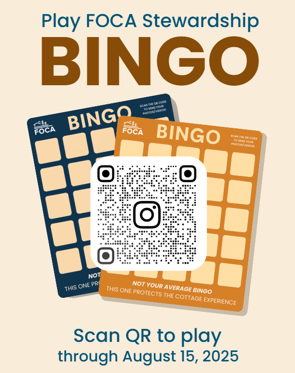 image: poster for FOCA Stewardship BINGO