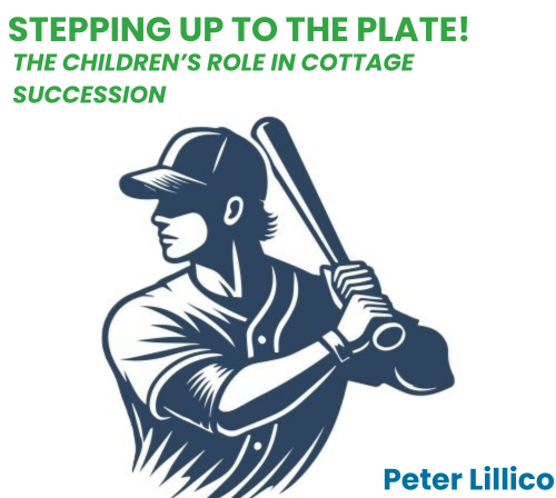 image header for the webinar: Stepping up to the Plate