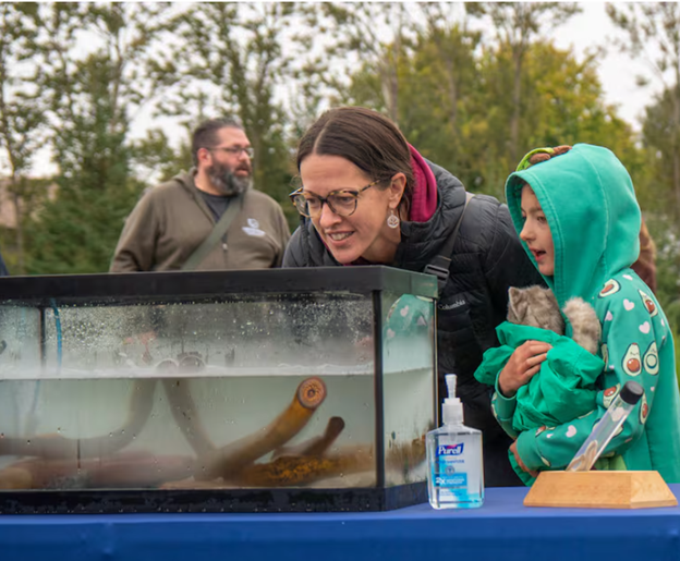 image of a family looking at sea lampreys in a tank, by Sarah Law for CBC News