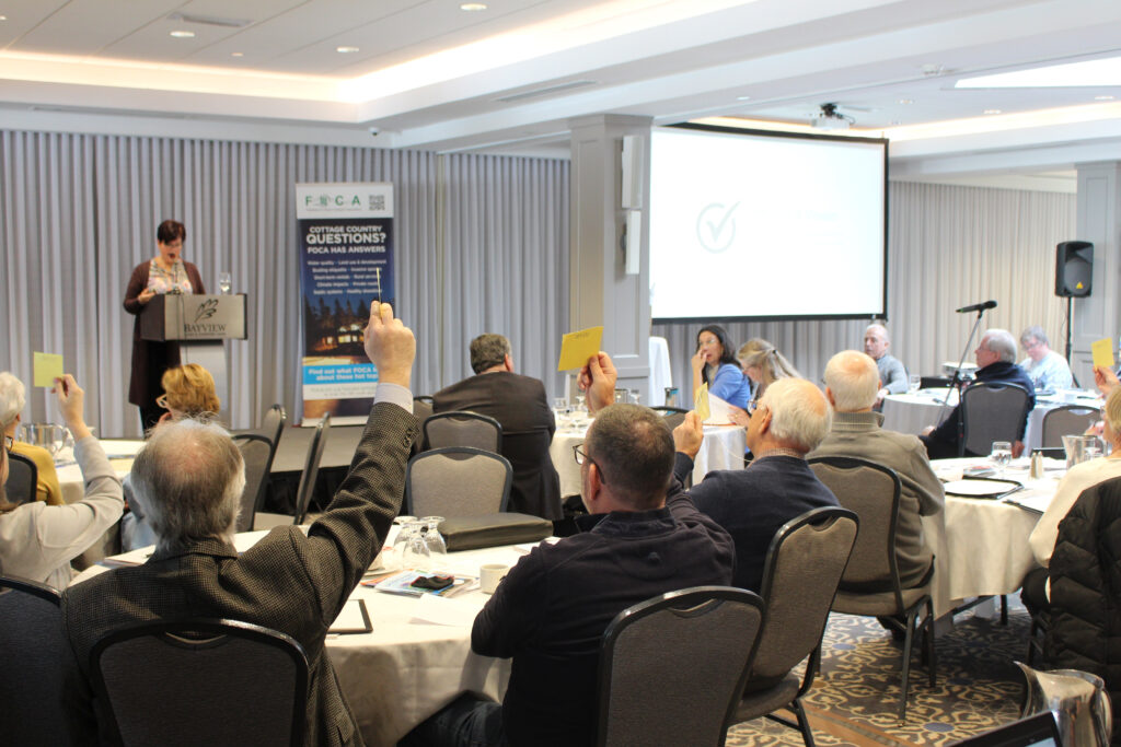 image: voting in favour at the 2025 AGM