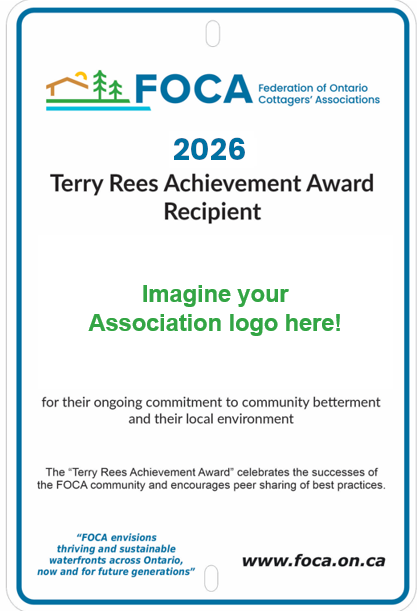 image of the Award